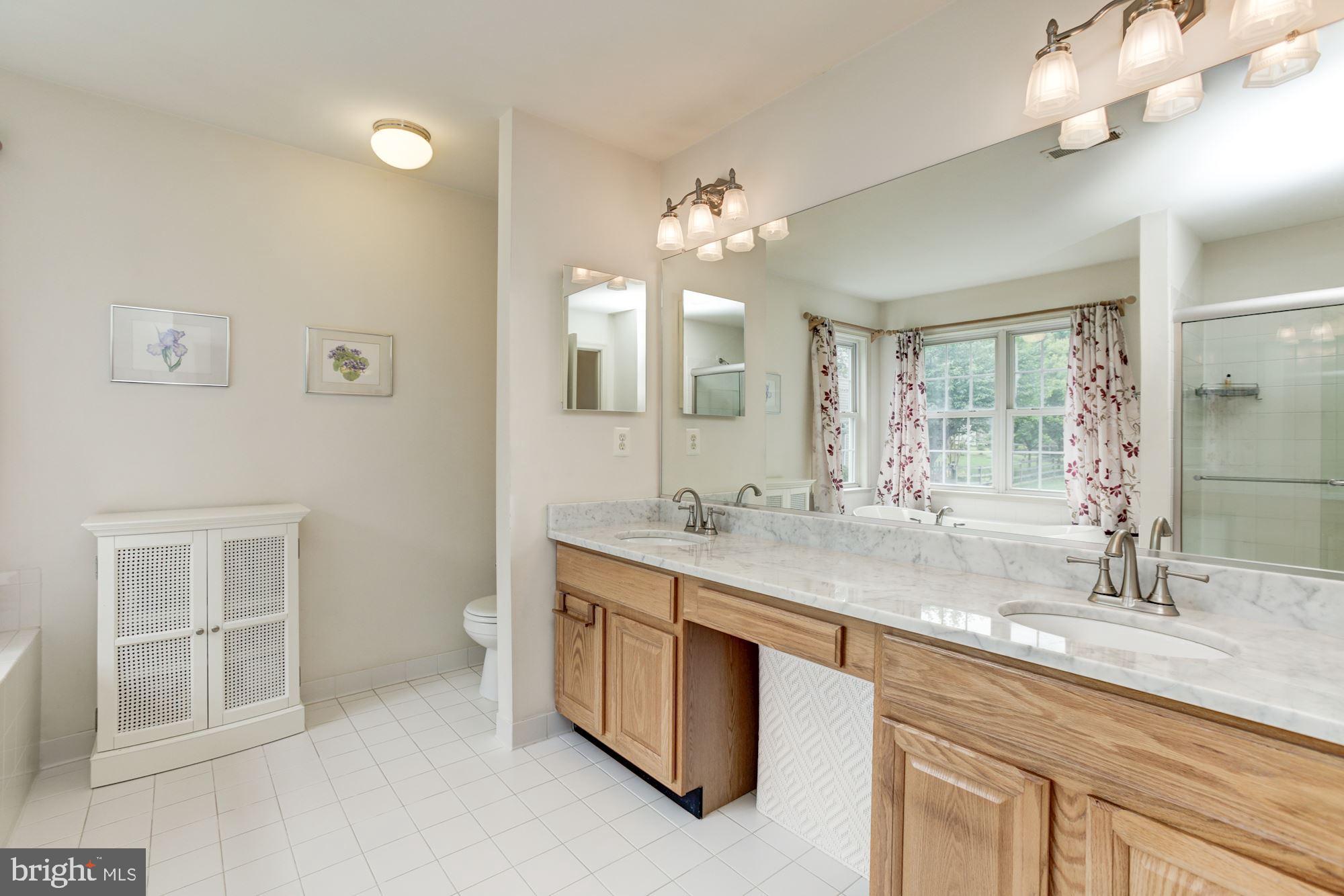 9737 Starling Road Ellicott City, MD 21042 - Photo 22 of 35 Master Bathroom