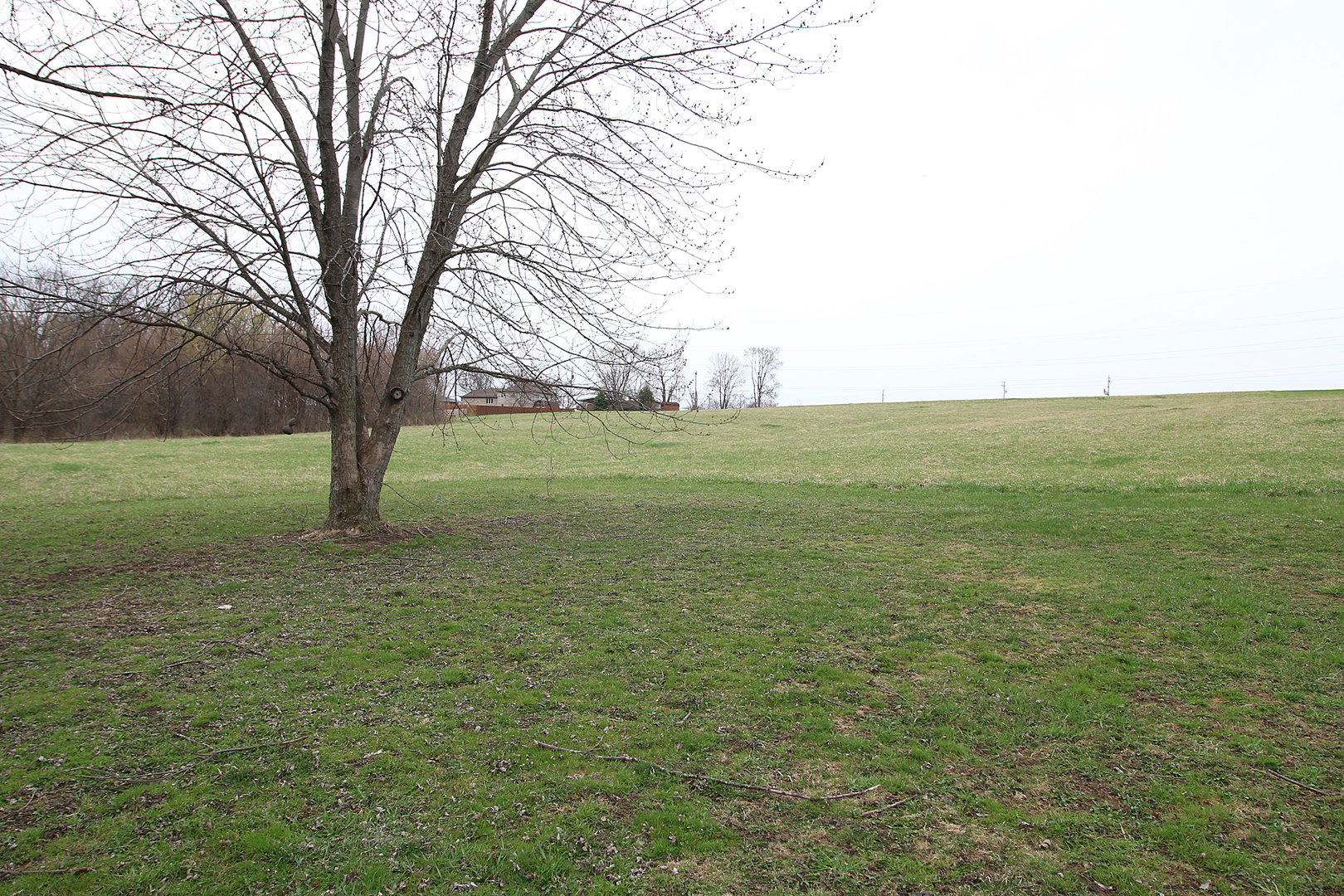 1356 Smith Road Lockport, IL 60441 - Photo 19 of 20 a view of a field with an trees
