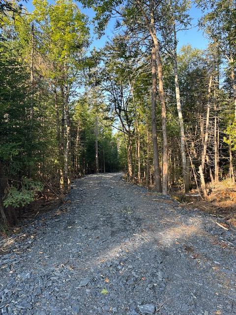 Lot 1 Lily Bay Road Greenville, ME 04441 - Photo 1 of 9 l9
