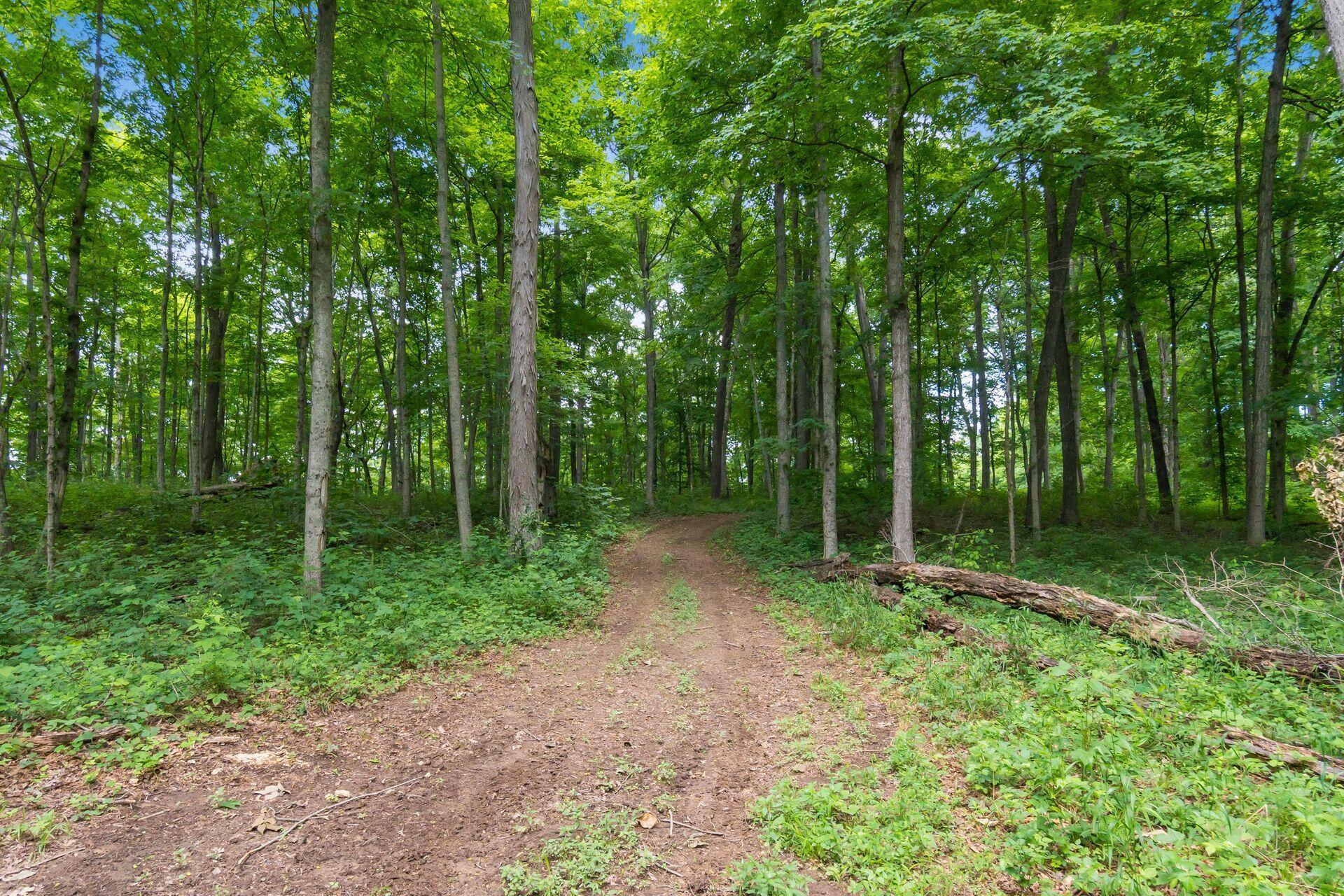 770 Standpipe Road Jackson, OH 45640 - Photo 112 of 143