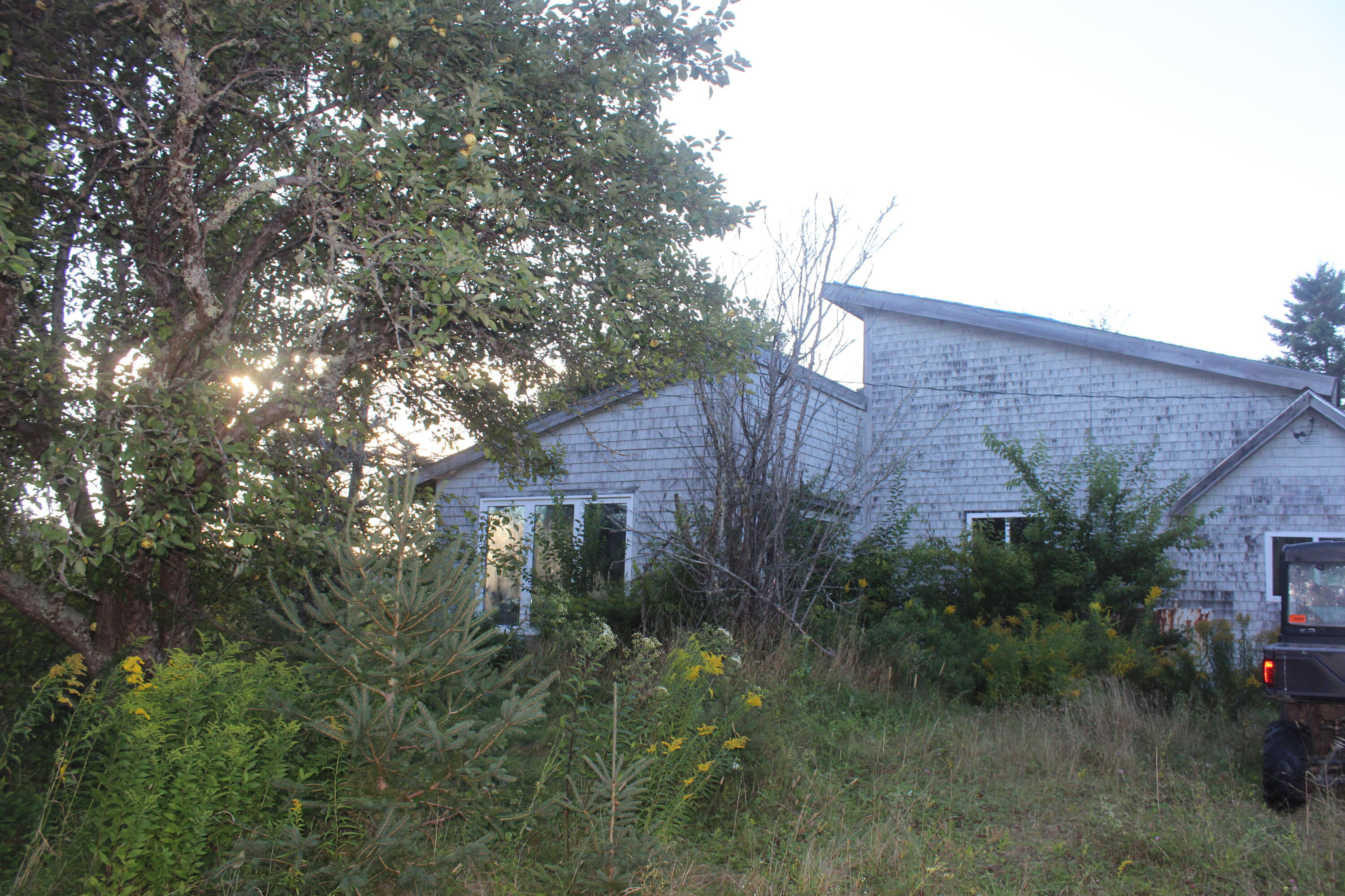 6 Daggett Road Perry, ME 04667 - Photo 1 of 16 IMG_3719