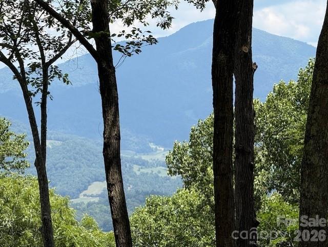 110 Cabin Ridge, Unit 110 Apex, NC 27523 - Photo 2 of 19