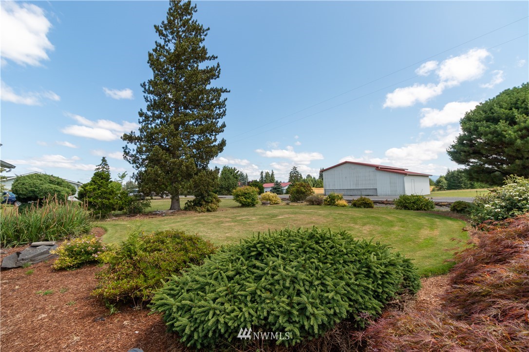 659 Spencer Road Toledo, WA 98591 - Photo 21 of 25 a view of a large garden with large trees and a big yard