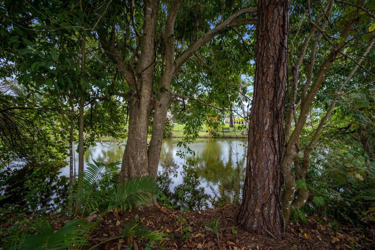 198 Bobwhite Road Royal Palm Beach, FL 33411 - Photo 29 of 30 33-DSC_7000-Edit
