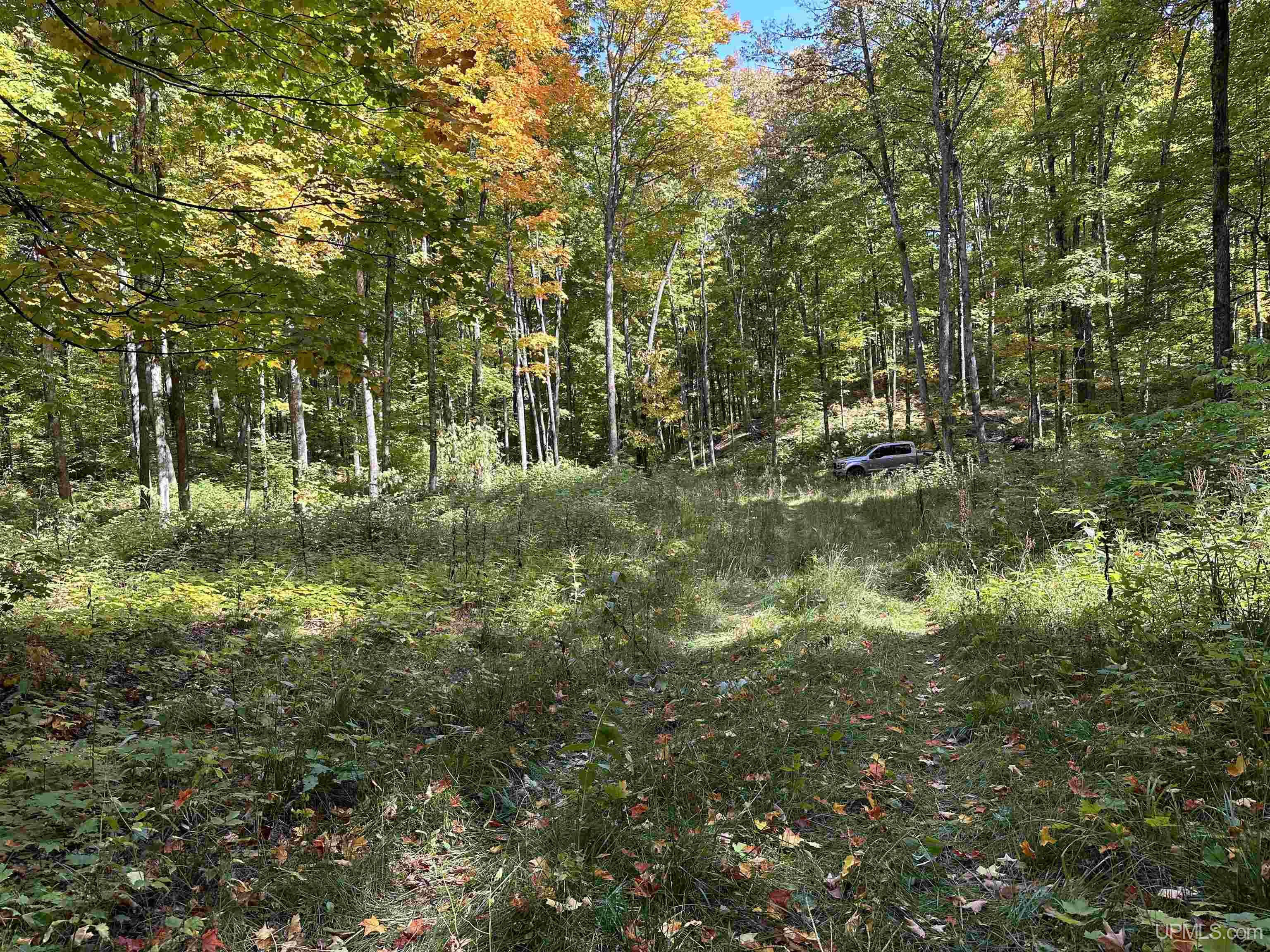 Off County Line Lake Road Bruce Crossing, MI 49912 - Photo 21 of 25