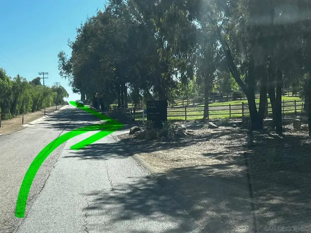 a view of a park with tree s