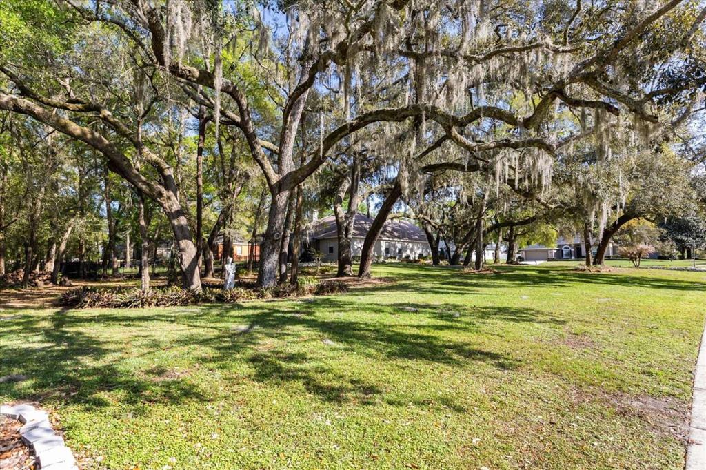 597 Sand Wedge Loop Apopka, FL 32712 - Photo 9 of 71