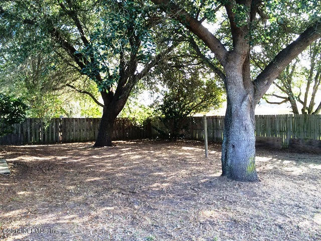3433 Bristol Bridge Road Orange Park, FL 32073 - Photo 13 of 14 BACKYARD VIEW