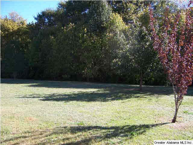 919 10th Street Southwest Alabaster, AL 35007 - Photo 11 of 11