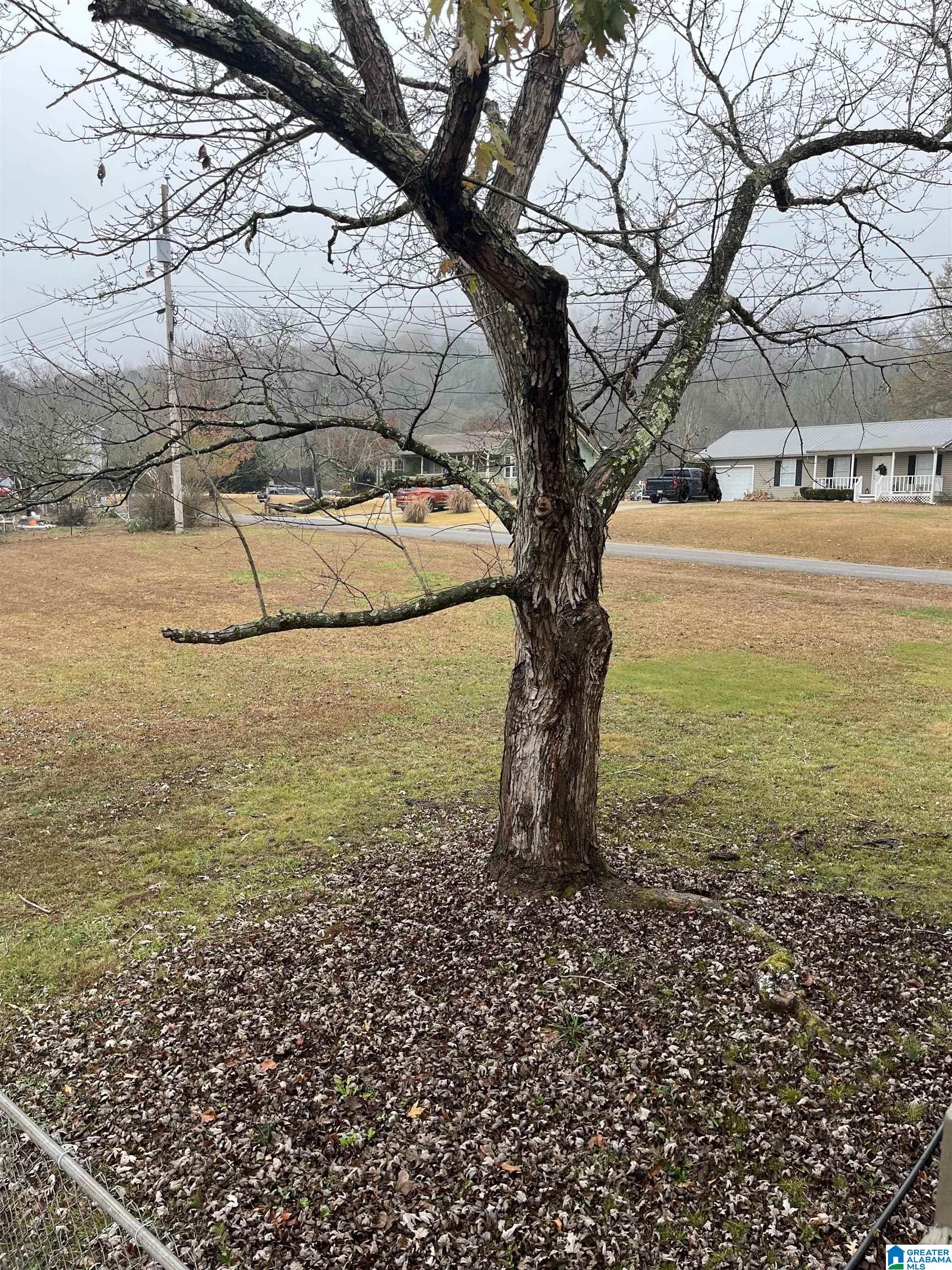 31 Joel Court Springville, AL 35146 - Photo 20 of 24