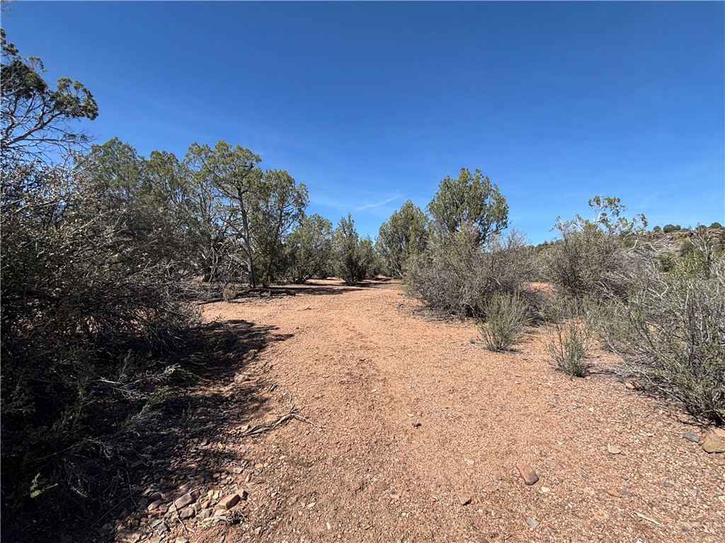 352-38-012 352-38-012 Badger Ridge Road Kingman, AZ 86401 - Photo 18 of 31