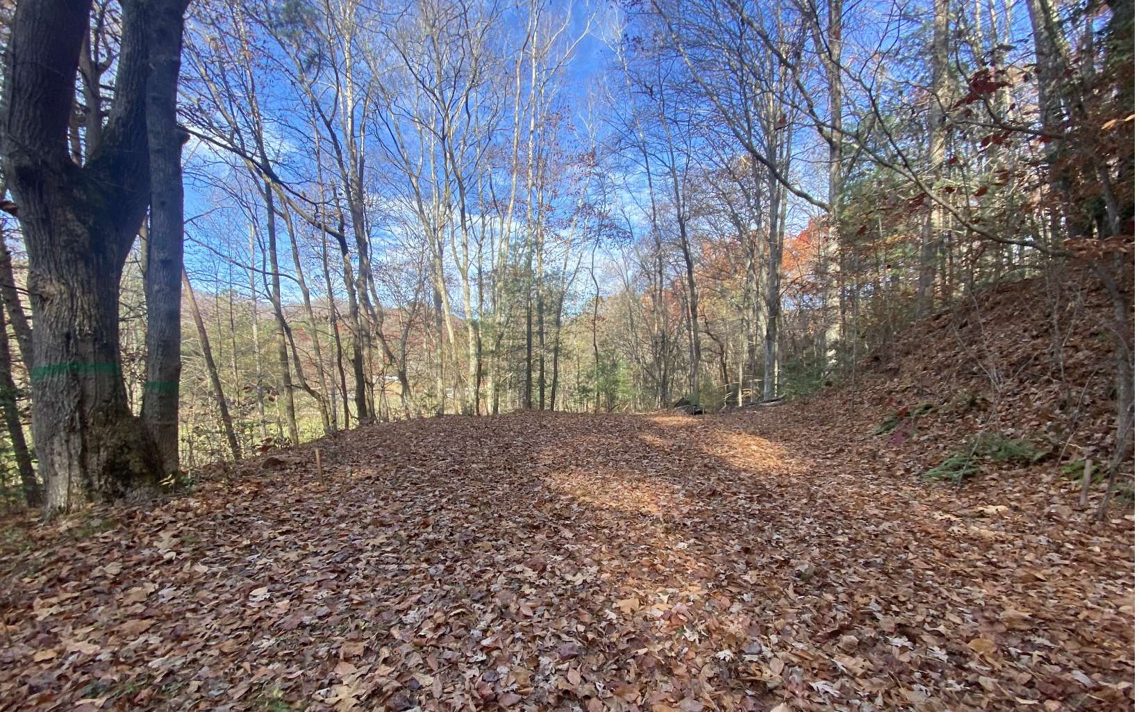 1 Barefoot Hill Road Hiawassee, GA 30546 - Photo 2 of 6 Additional View