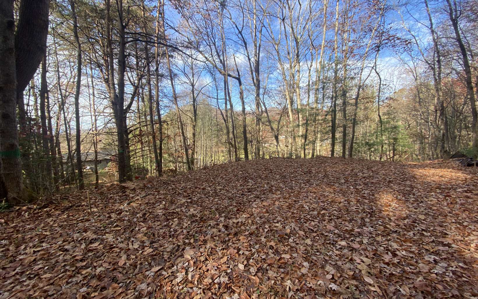 1 Barefoot Hill Road Hiawassee, GA 30546 - Photo 3 of 6 Additional View