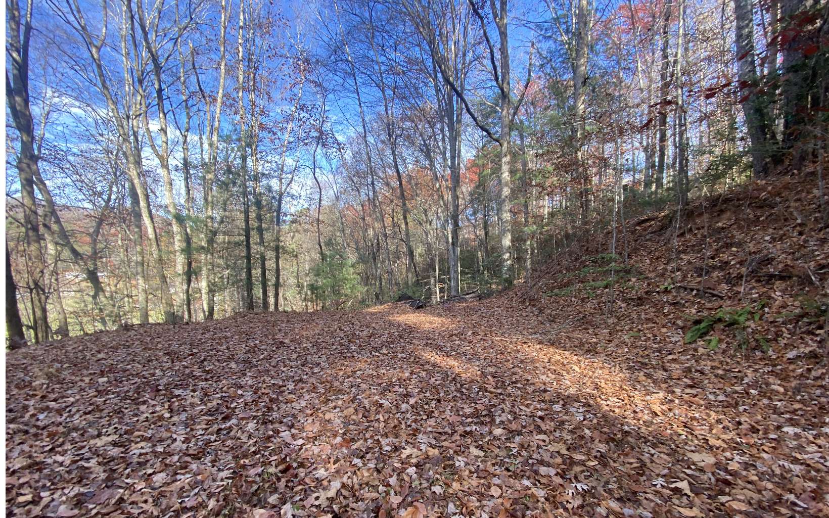 1 Barefoot Hill Road Hiawassee, GA 30546 - Photo 4 of 6 Additional View
