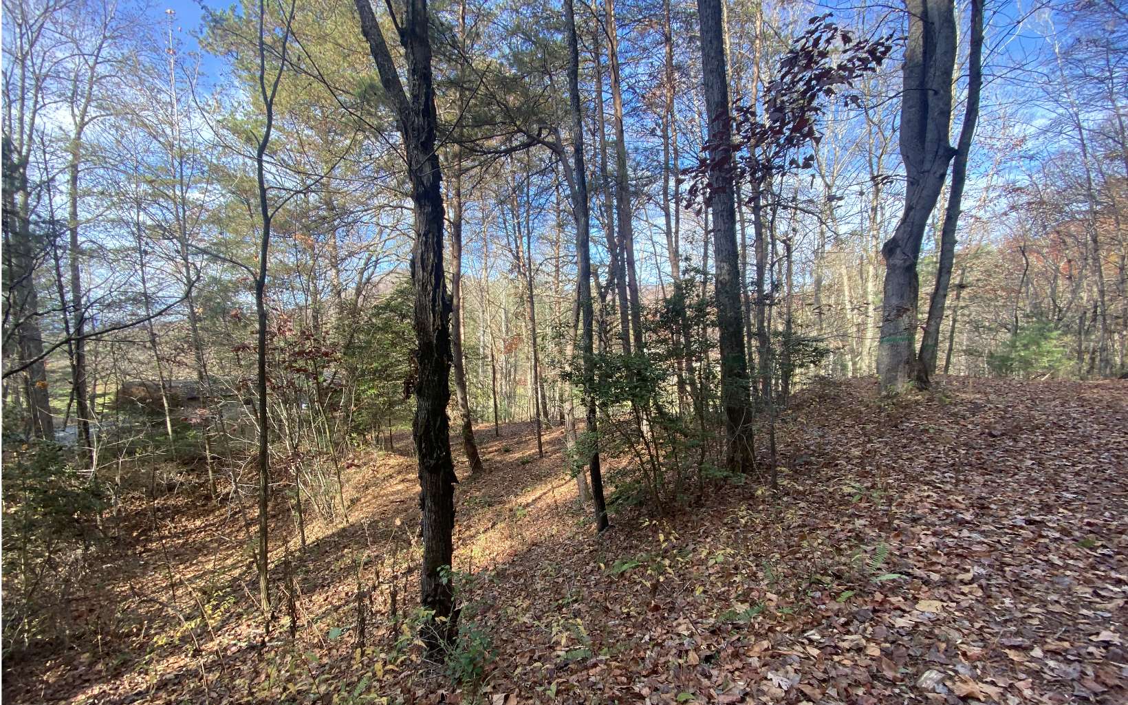 1 Barefoot Hill Road Hiawassee, GA 30546 - Photo 5 of 6 Additional View