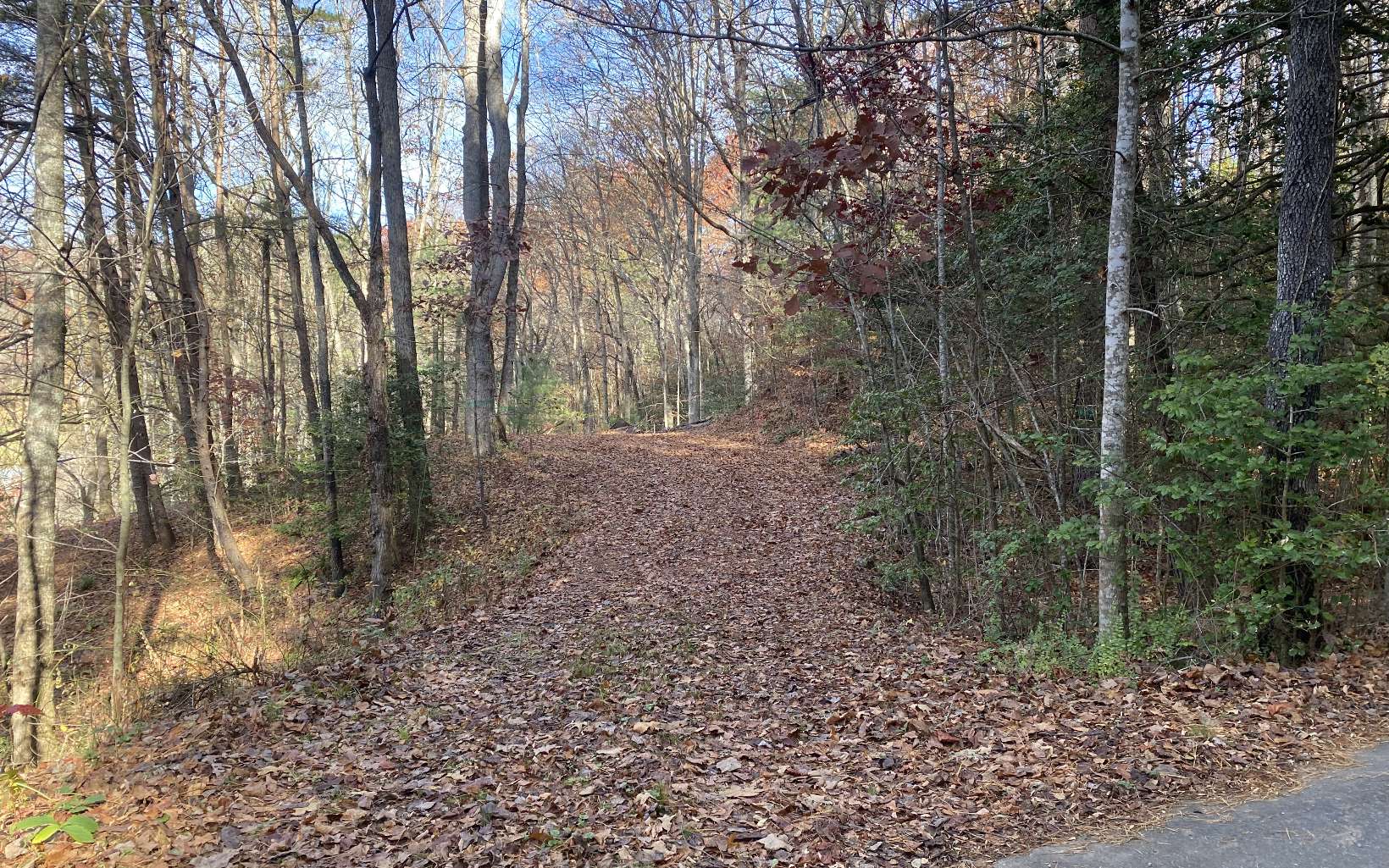 1 Barefoot Hill Road Hiawassee, GA 30546 - Photo 6 of 6 Additional View