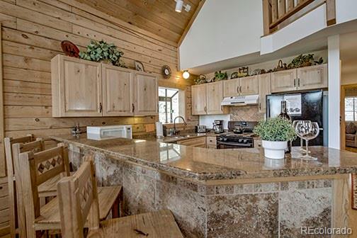 146 Protector Place Breckenridge, CO 80424 - Photo 6 of 18 a kitchen with a stove a sink and cabinets