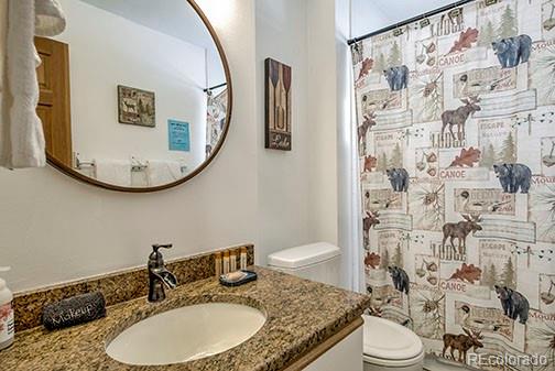 146 Protector Place Breckenridge, CO 80424 - Photo 8 of 18 a bathroom with a granite countertop sink and a mirror