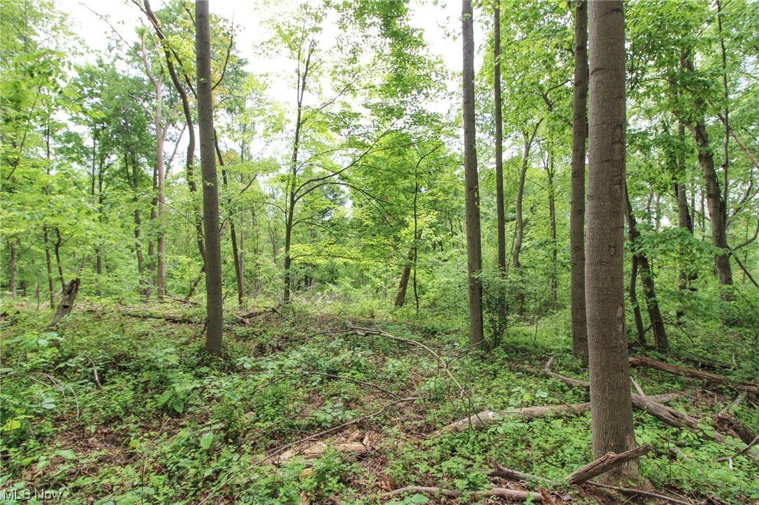 2 Mount Carmel Ridge Rd Street St. Marys, WV 26170 - Photo 10 of 18