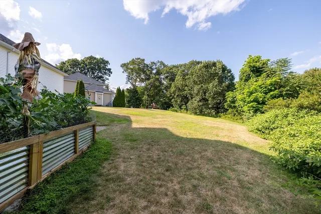 a view of outdoor space and yard