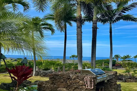 a view of a backyard with palm trees