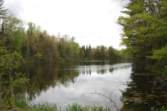 $2,750,000 | N11502 Nelson Road, Athelstane, WI 54177