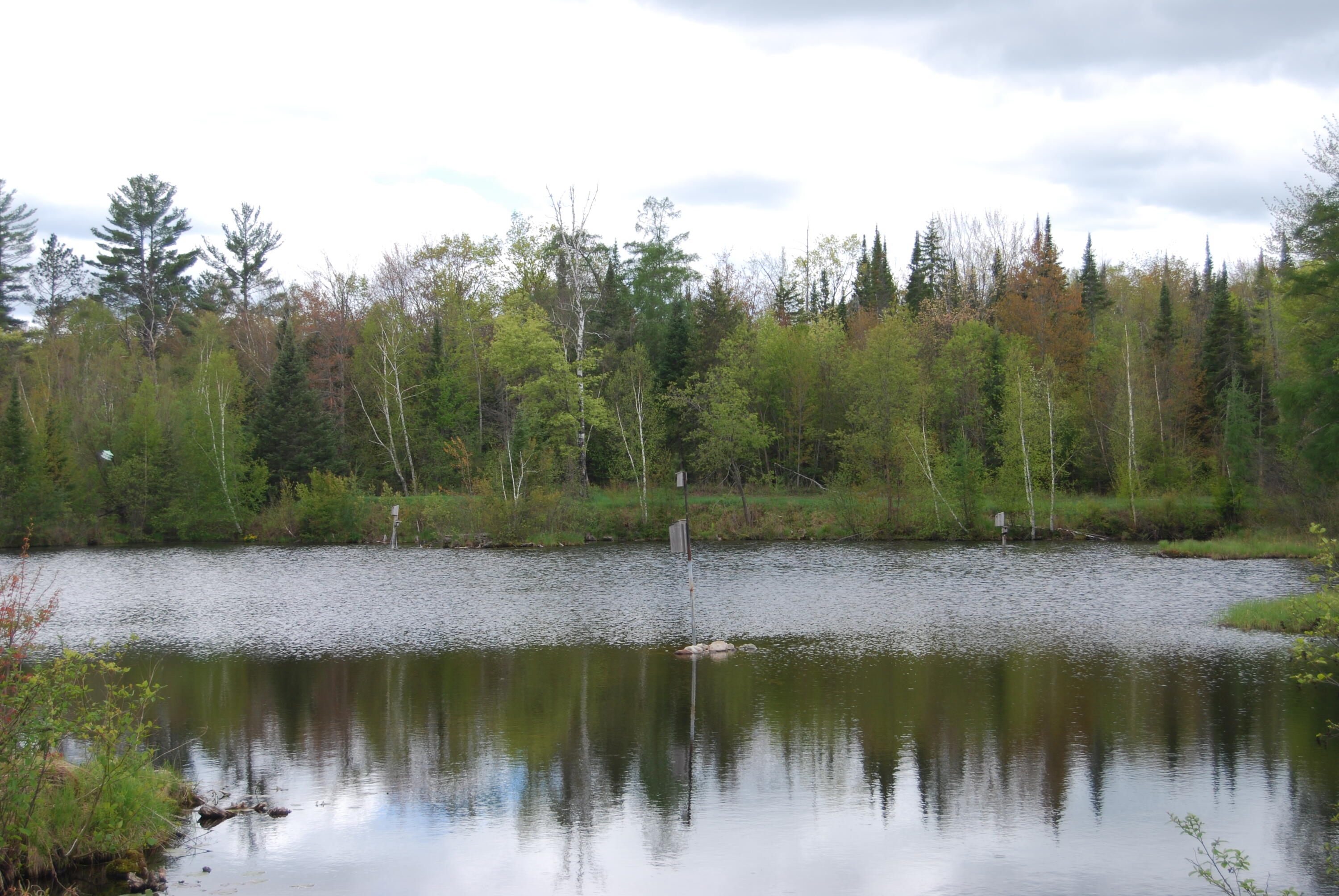 N11502 Nelson Road Athelstane, WI 54177 - Photo 63 of 77 Pond