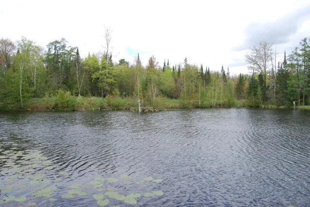 $2,750,000 | N11502 Nelson Road, Athelstane, WI 54177