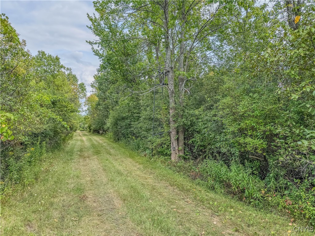 Timmerman Road Dexter, NY 13634 - Photo 1 of 1 Gallery Image 1
