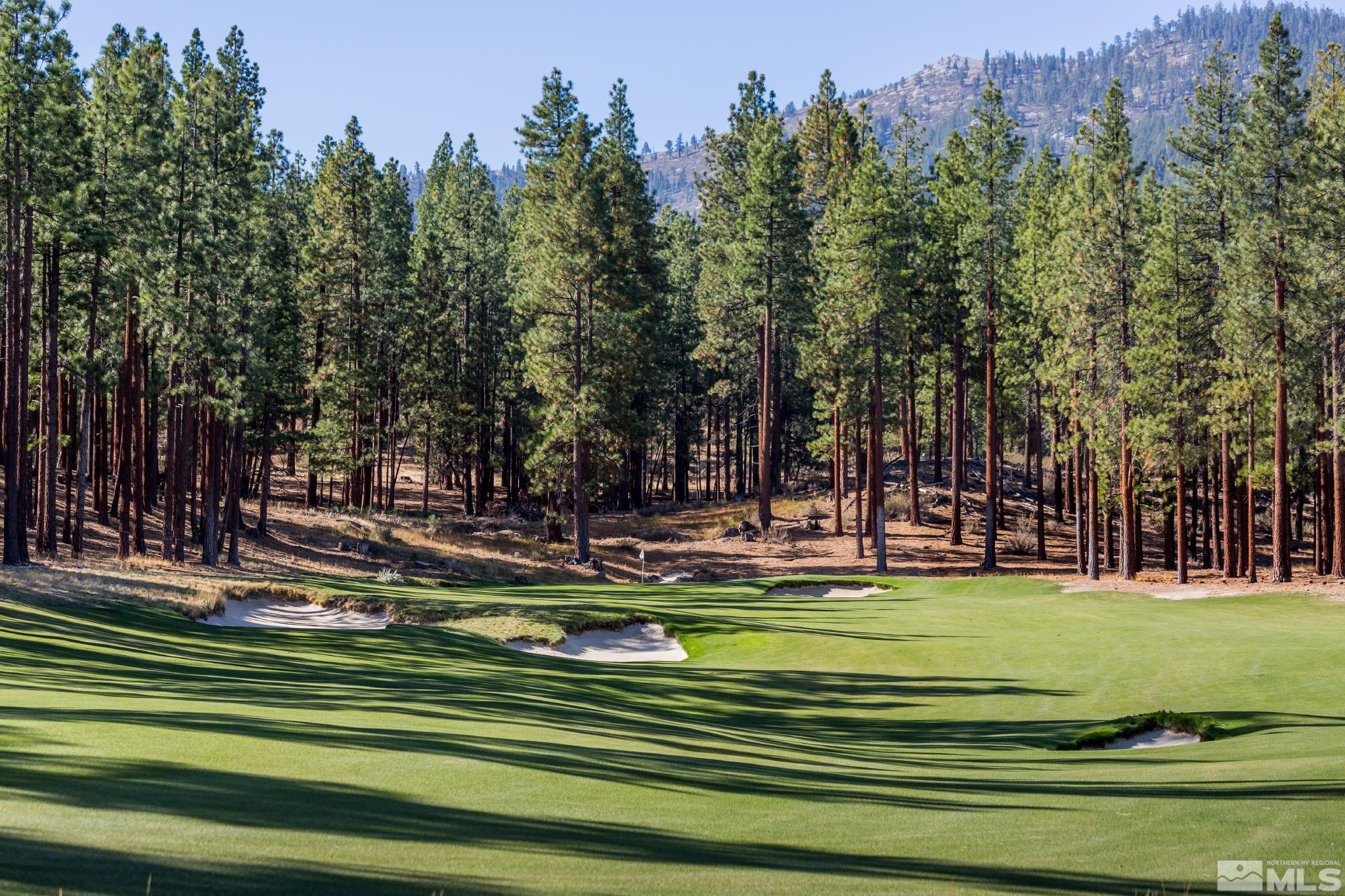 199 Walton Toll Road, Unit 211 Carson City, NV 89705 - Photo 3 of 40 a view of a swimming pool with a trees in the background