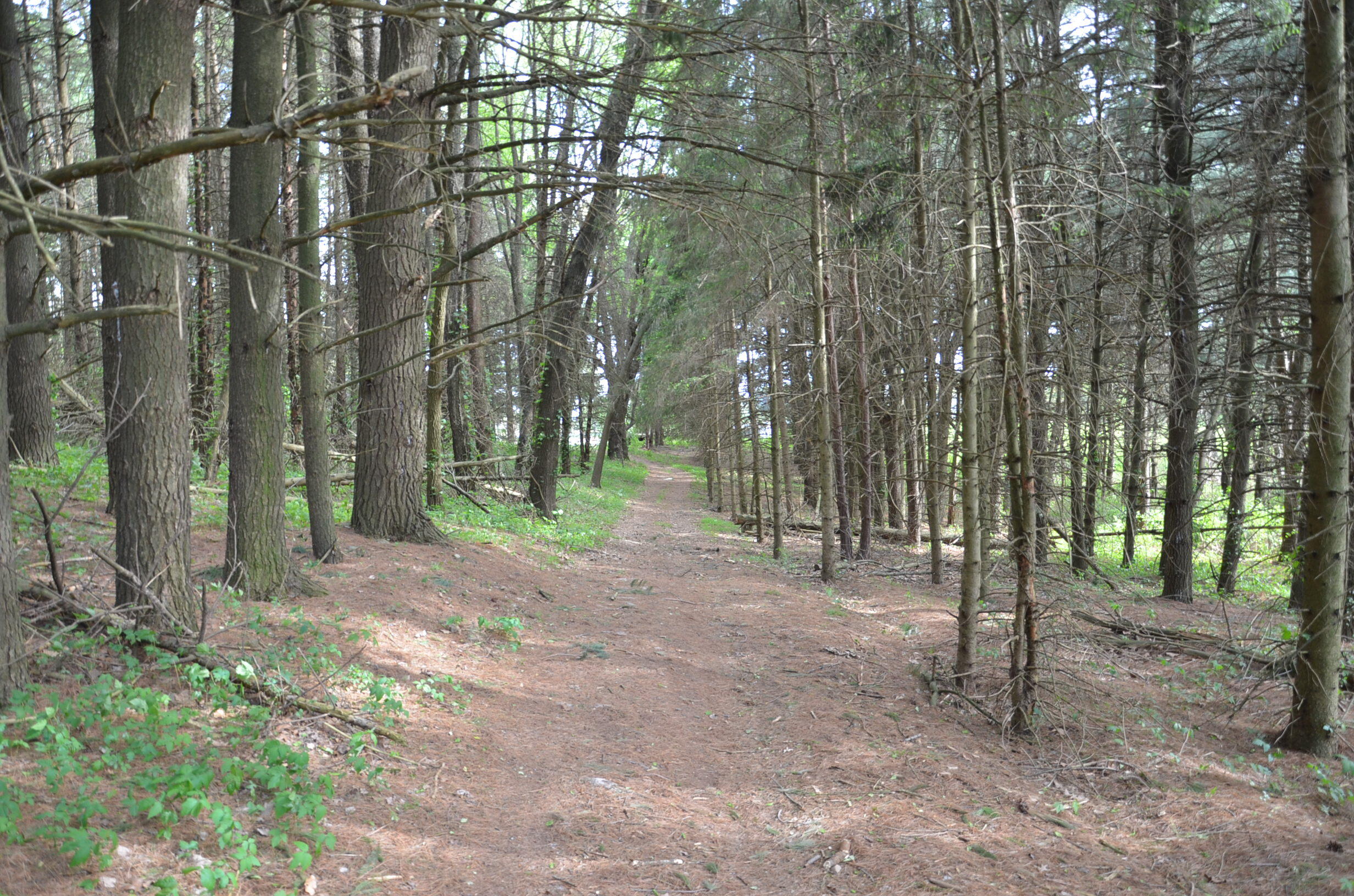 11475 Gorsline Road Battle Creek, MI 49014 - Photo 68 of 72 Land 2