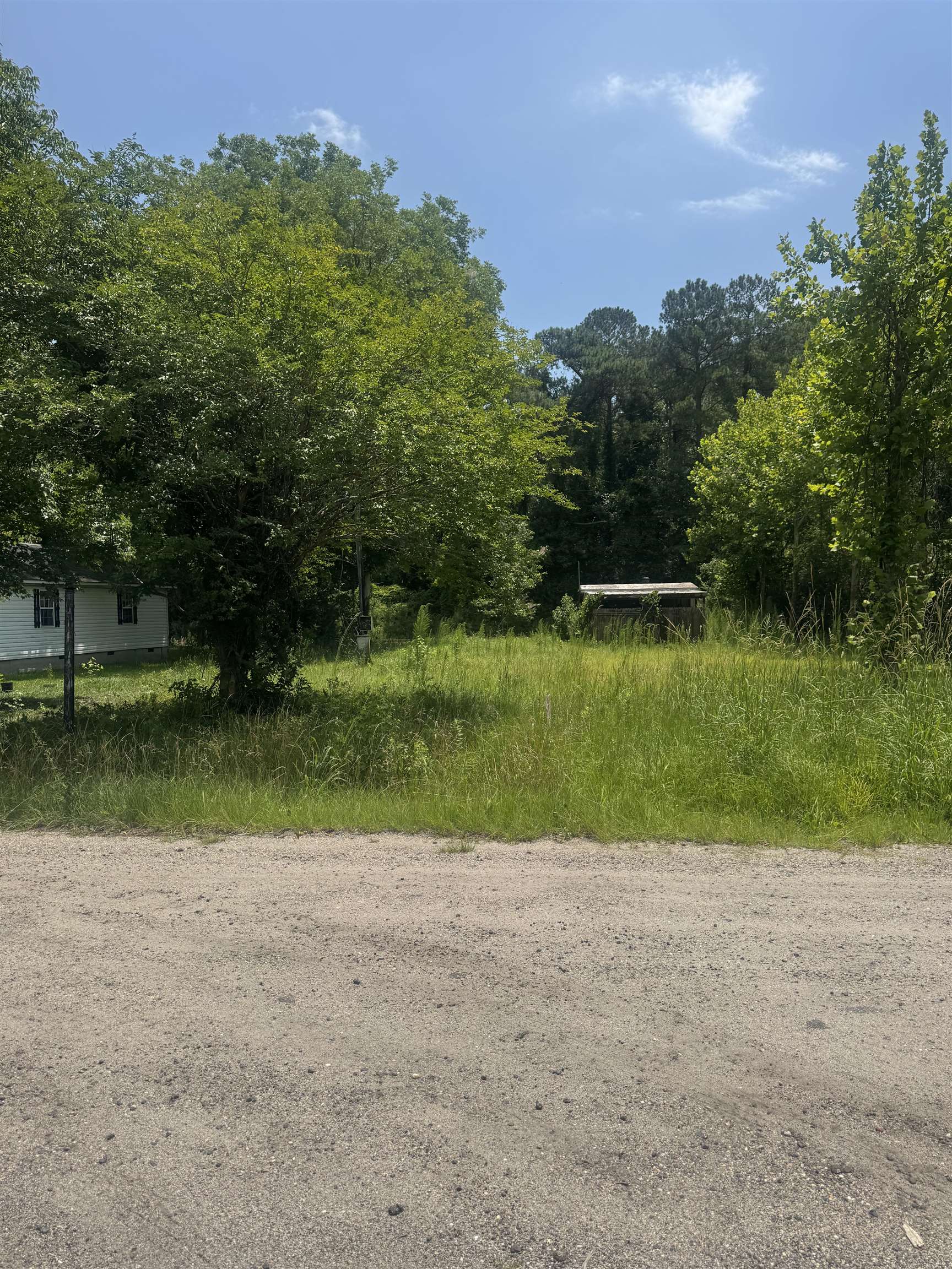 3216 Old Nelson Road Conway, SC 29526 - Photo 3 of 4