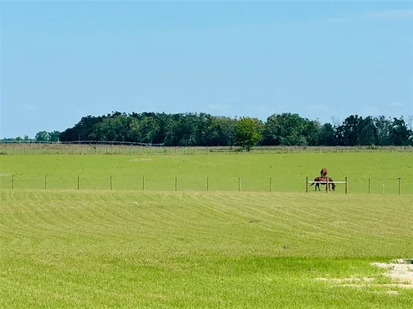a view of a field with trees in the background