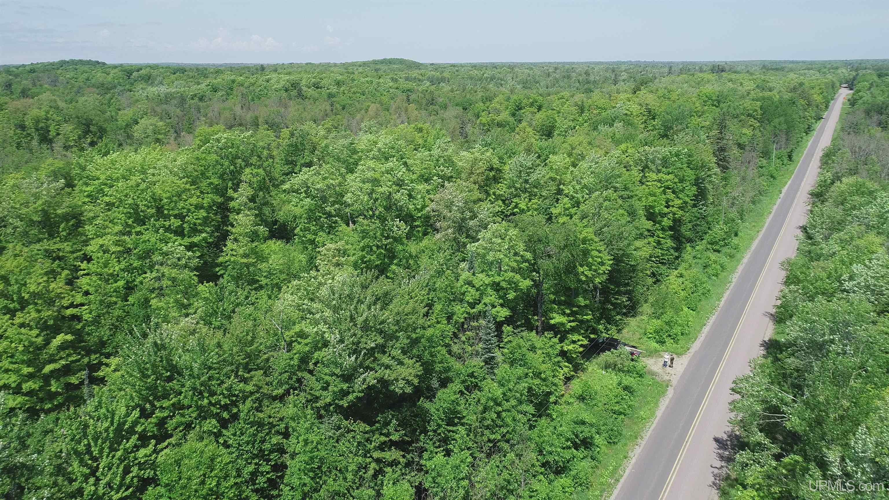 40-acres 40-acres Maple Grove Road Skandia, MI 49885 - Photo 1 of 19