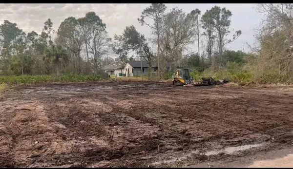 a view of a yard with a tree