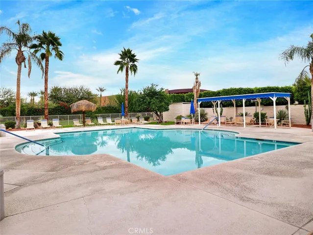 a row of palm trees and swimming pool in the backyard of a house