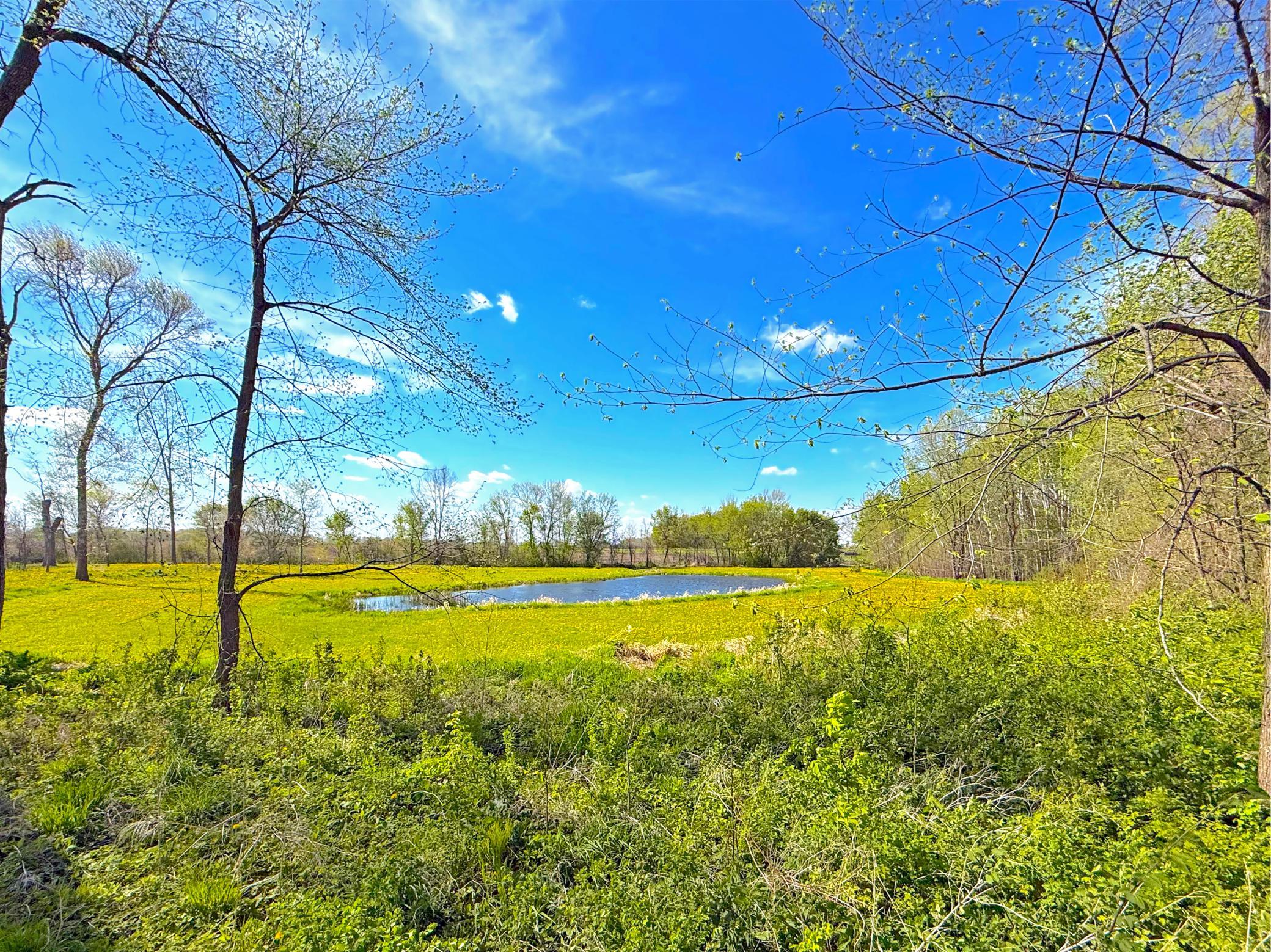 5 County Road 5 Southwest Howard Lake, MN 55349 - Photo 1 of 1