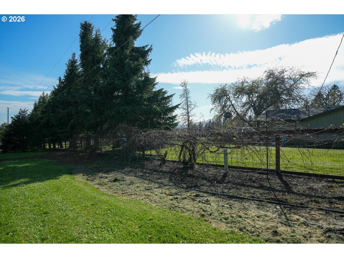 2035 Primrose Loop Philomath, OR 97370 - Photo 25 of 48 a view of a backyard