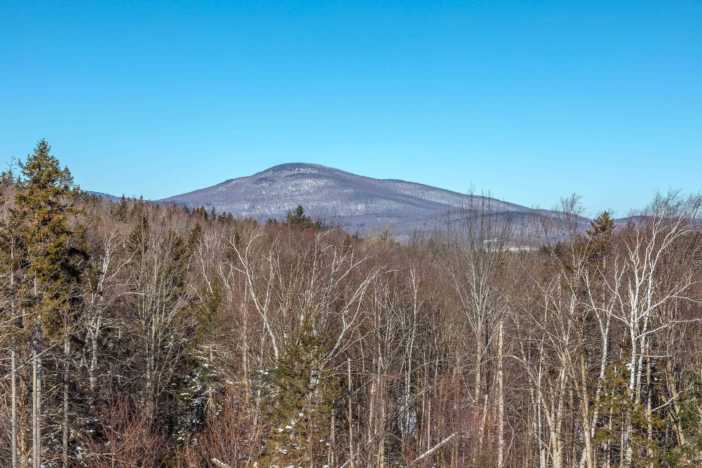 2734 Healdville Road Mount Holly, VT 05730 - Photo 56 of 59