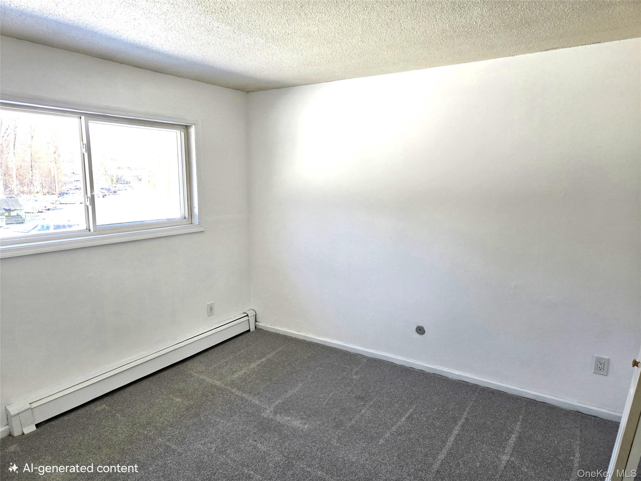 9 Fishkill Glen Drive, Unit F Fishkill, NY 12524 - Photo 8 of 10 Unfurnished room with baseboard heating, a textured ceiling, and dark carpet