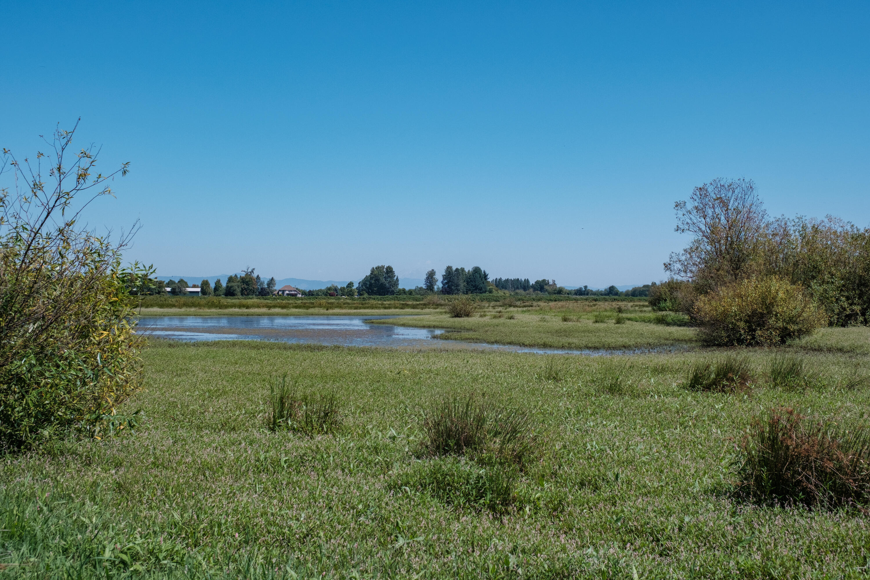 0 Duck Club Scappoose, OR 97056 - Photo 29 of 33