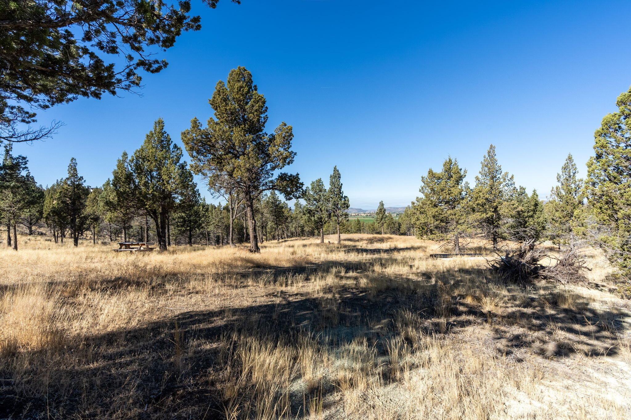 5598 North Mckay Road Prineville, OR 97754 - Photo 56 of 81 IMG_5817