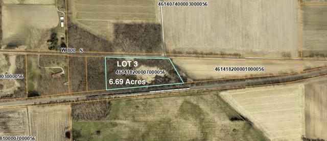 a view of a yard with plants and trees