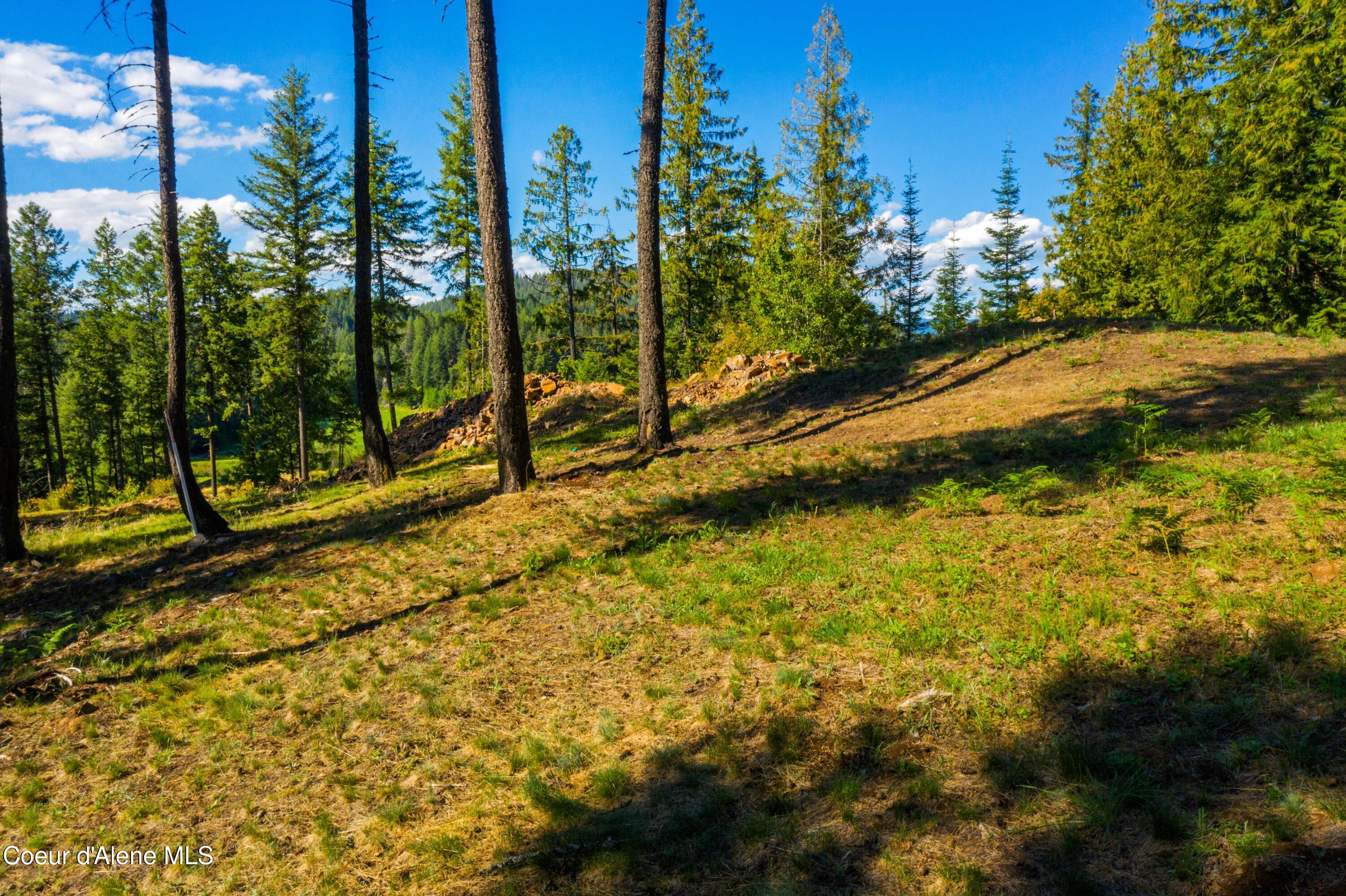Wildflower Way Sandpoint, ID 83864 - Photo 18 of 42 WWLOT_17
