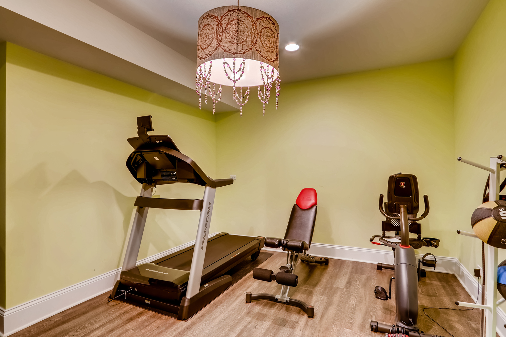369 Downing Road Riverside, IL 60546 - Photo 34 of 46 a room with gym equipment