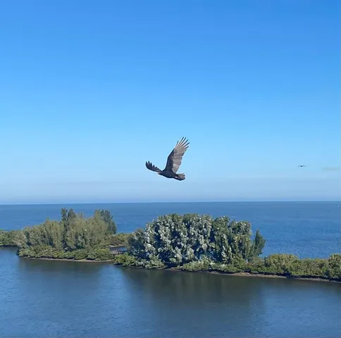 a view of ocean view