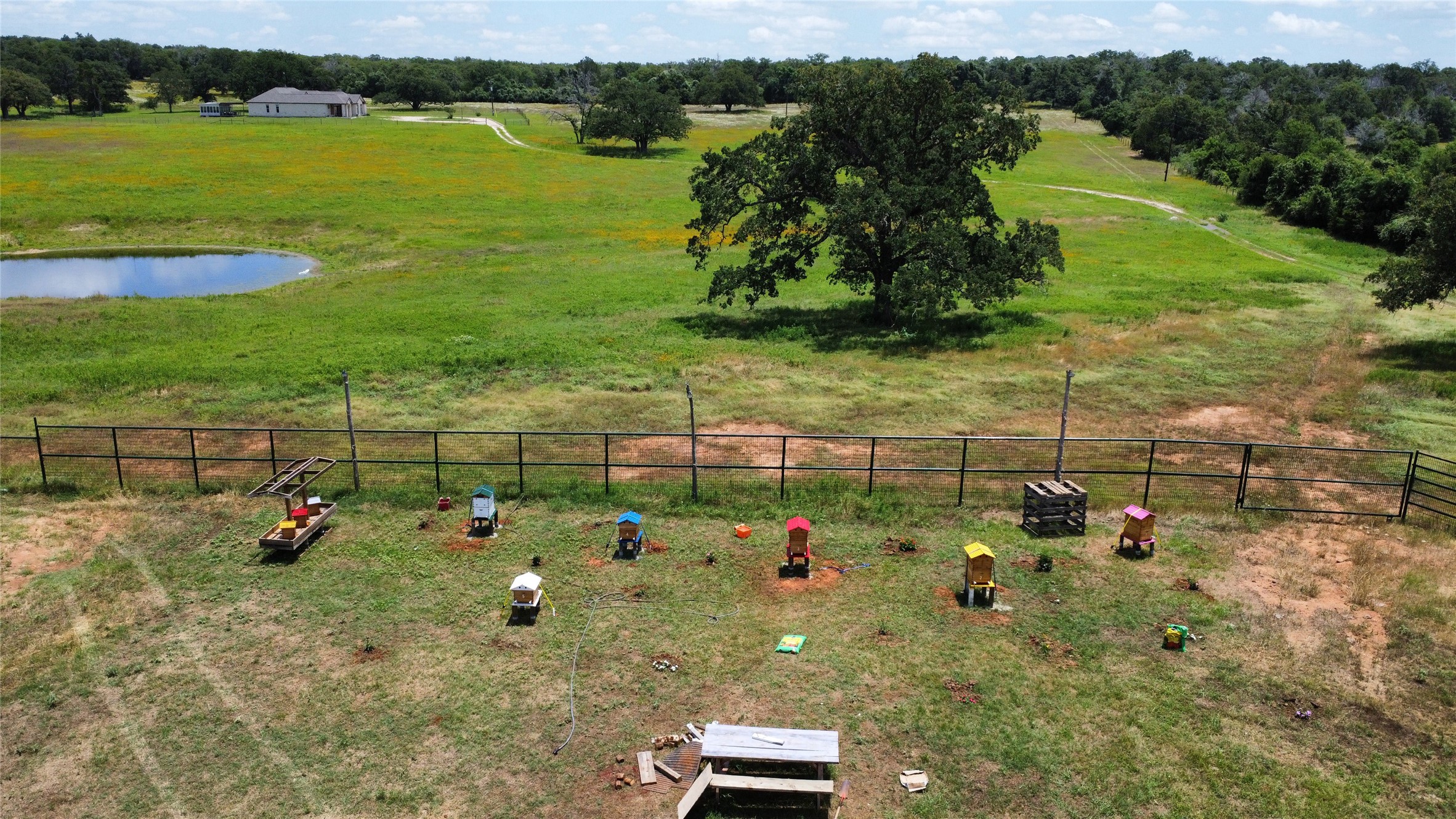 174 Wilson Road, Unit A Elgin, TX 78621 - Photo 10 of 34 a view of yard
