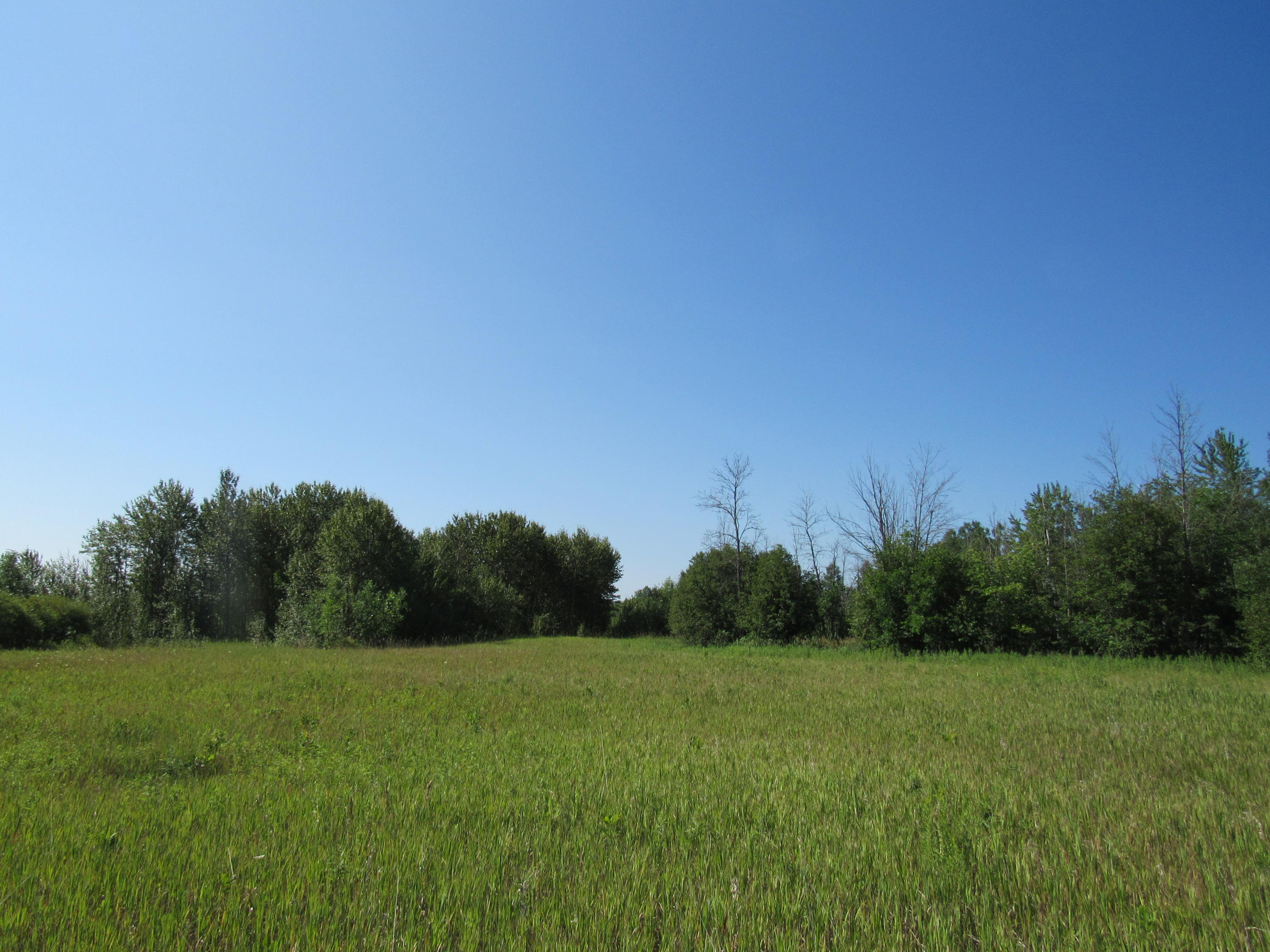 Cole Road Hillman, MI 49746 - Photo 15 of 25 Gallery Image 15