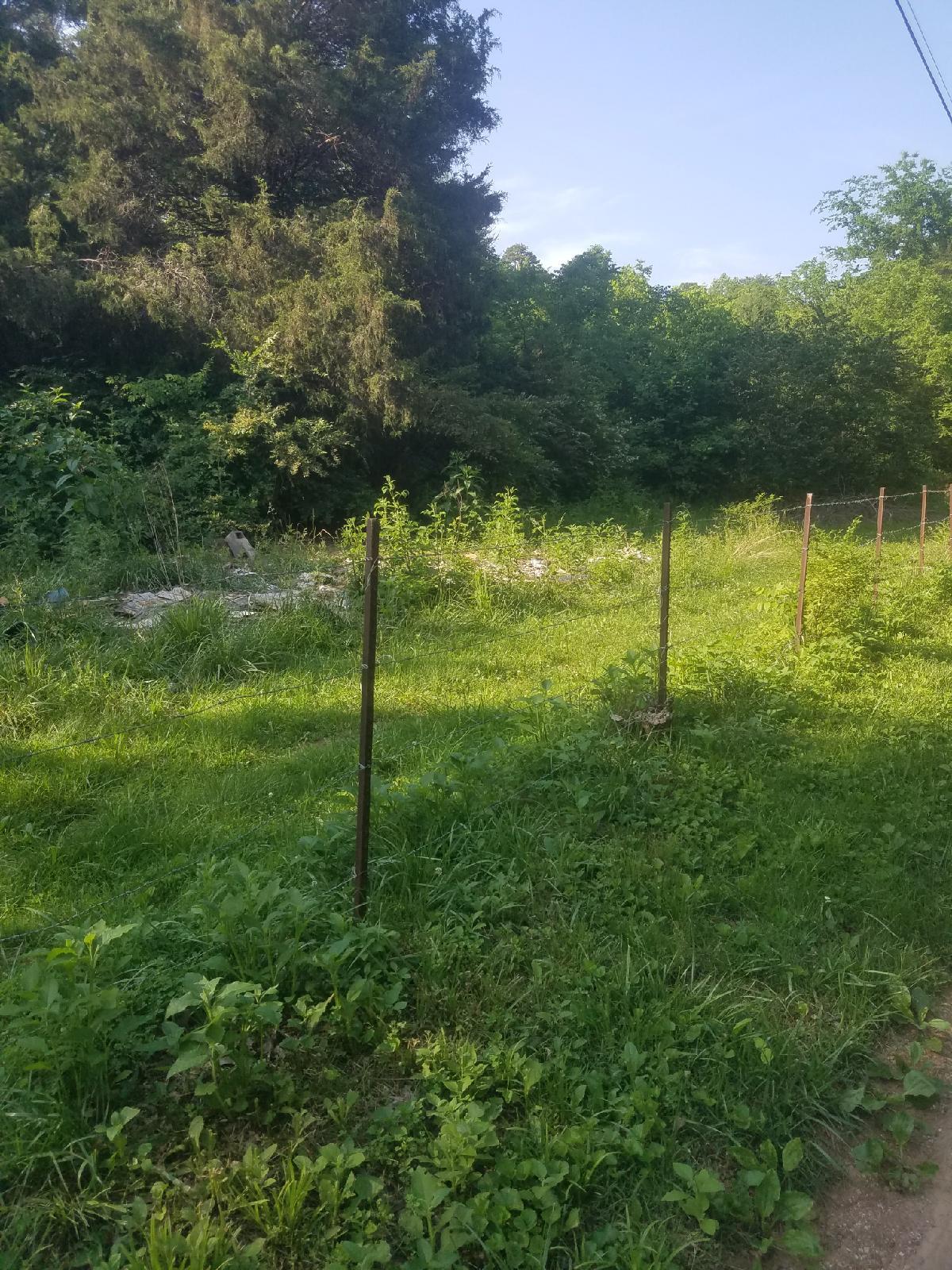 9 Hall Road Loudon, TN 37774 - Photo 3 of 3 Resized_20170519_174232001