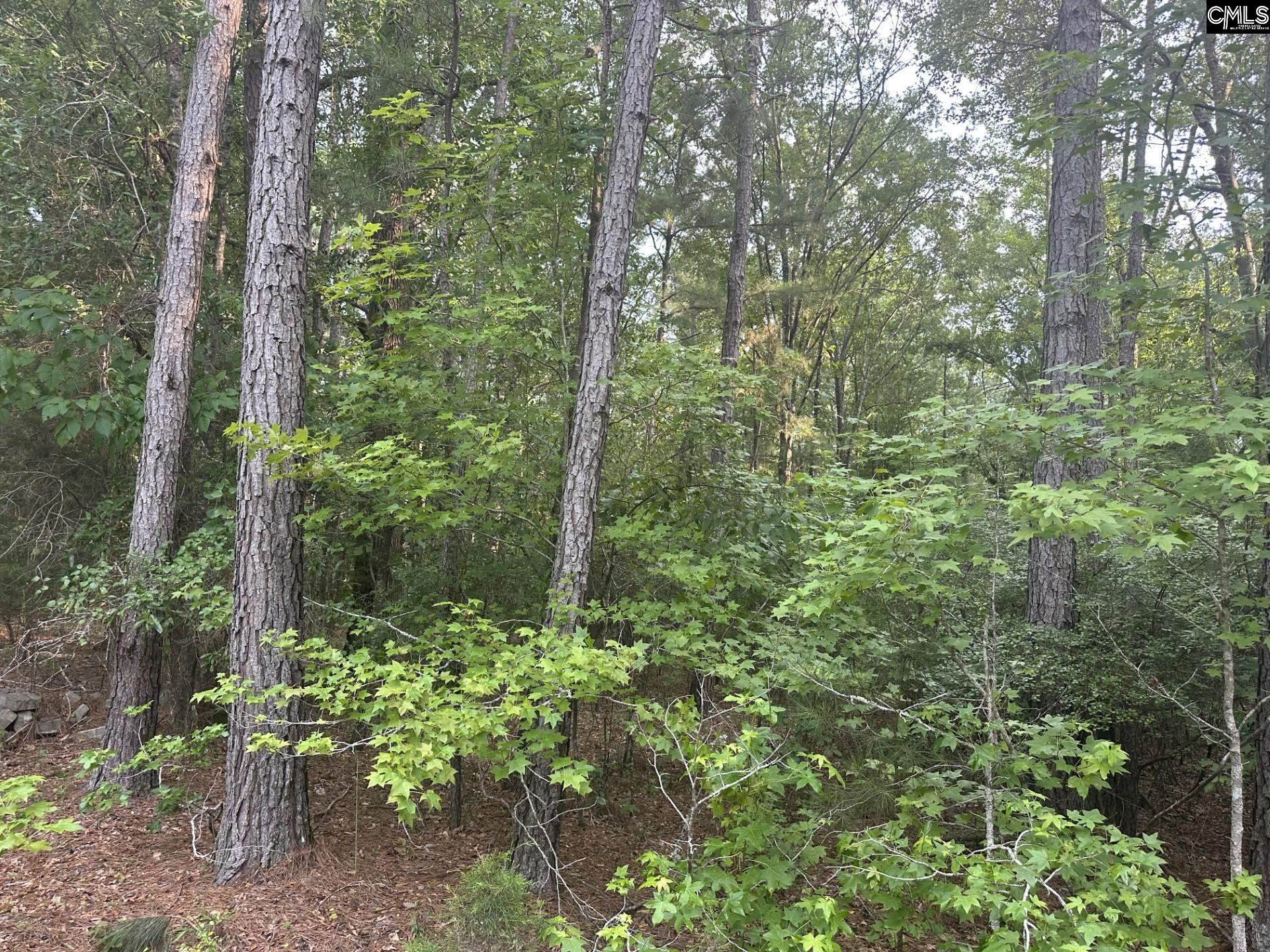 320 Dewdrop Drive Ridgeway, SC 29130 - Photo 4 of 6
